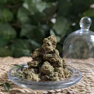 La beuh blanc rouge l'équipe de FranceCBD